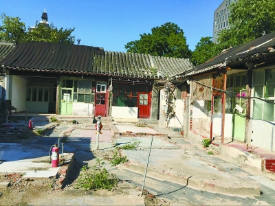 tzg7835_b.jpg