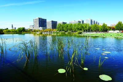 平谷小龙河湿地_b9.jpg