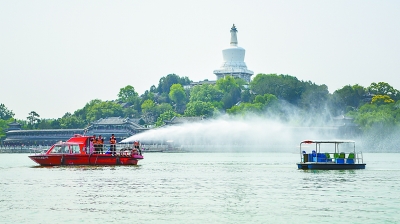 weidan9669_b.jpg