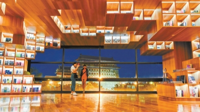 p31_b.jpg