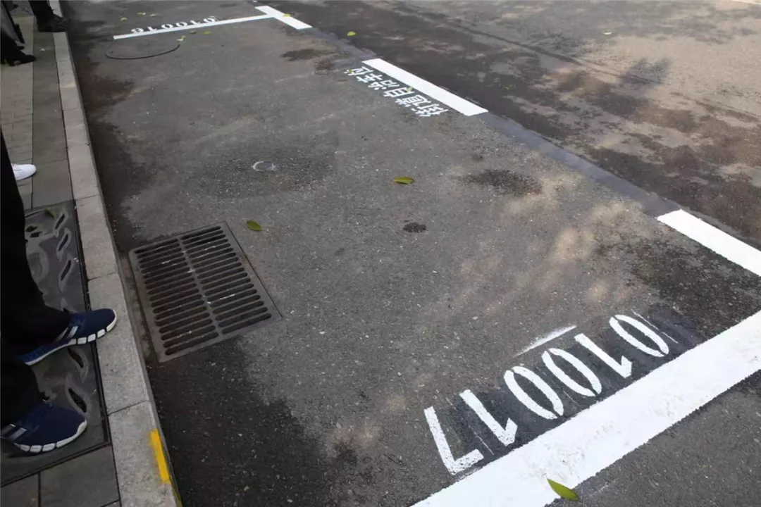 1571970135238071115.jpg 7.jpg