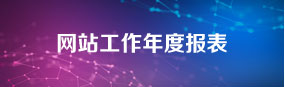 网站工作年度报表