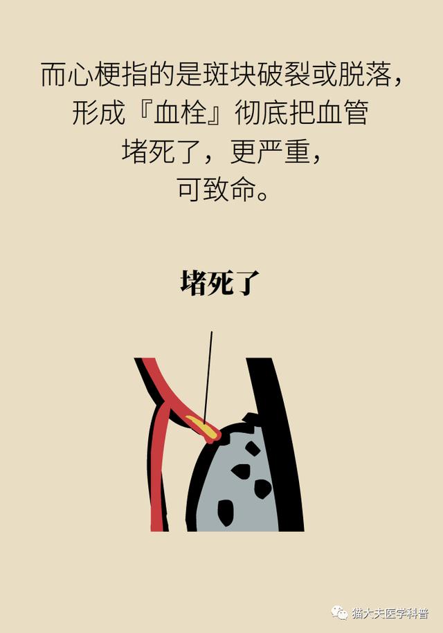 1591081313744051920.jpg