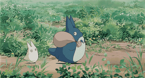 6.gif