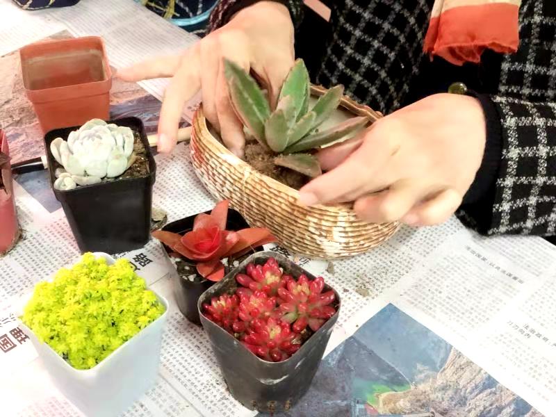 1605845986269006780.jpg 1605845986269006780.jpg