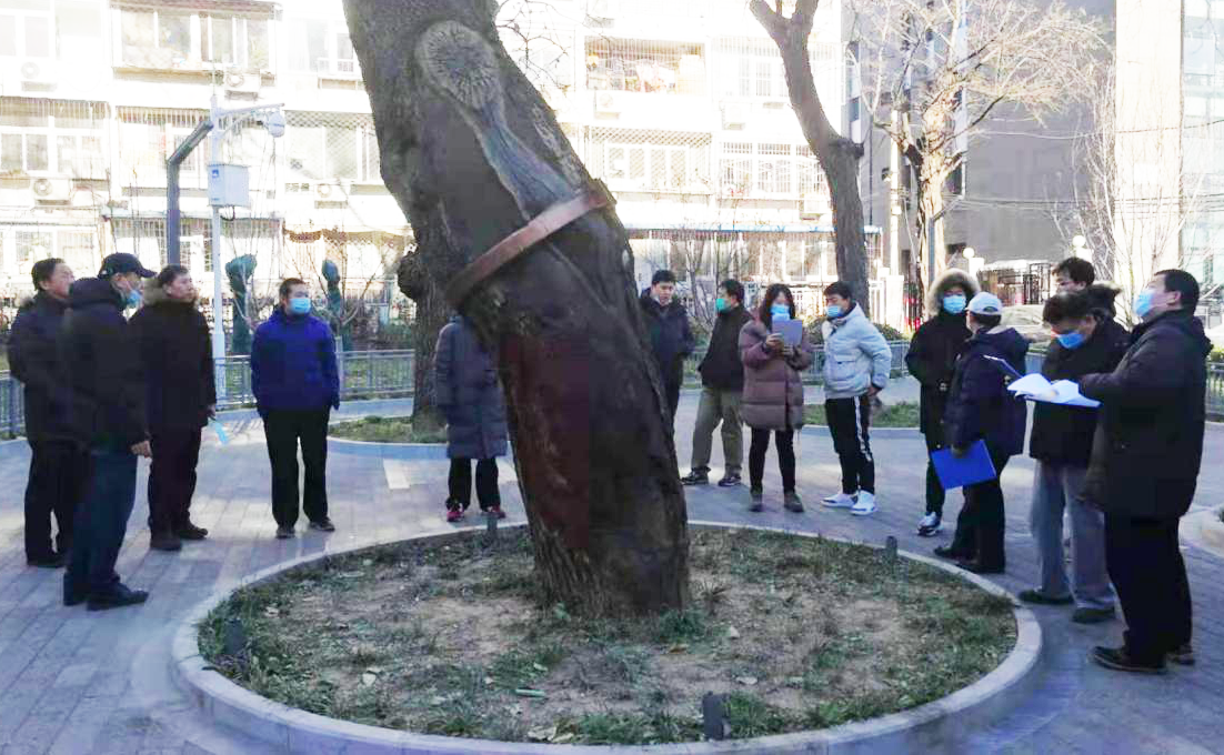 1608172883748059482.png 1608172883748059482.png