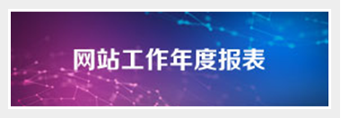 网站工作年度报表