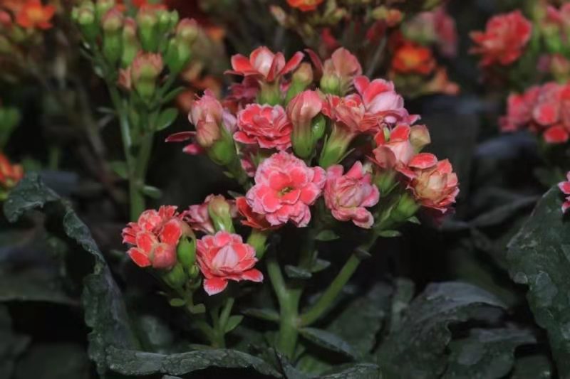 1612315201803056962.jpg 1612315201803056962.jpg