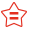 重大行政决策