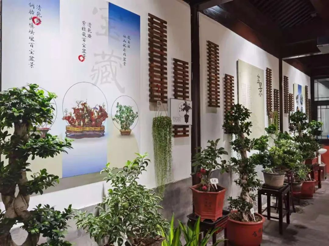 1625188005609010120.jpg 1625188005609010120.jpg