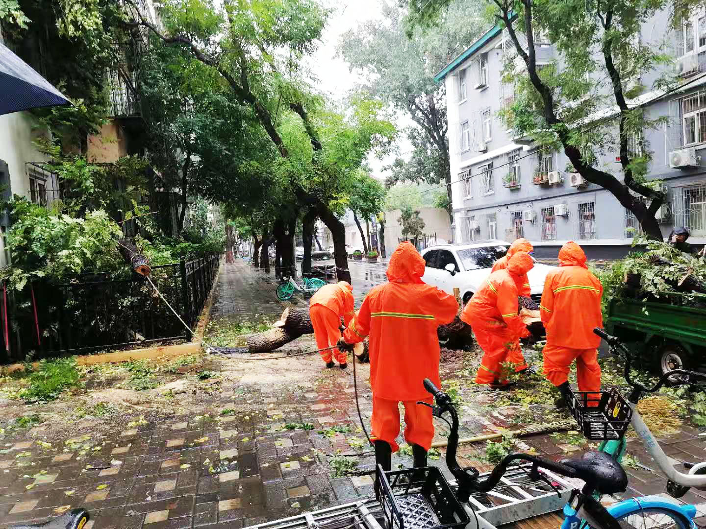 1626236241015082948.jpg 1626236241015082948.jpg