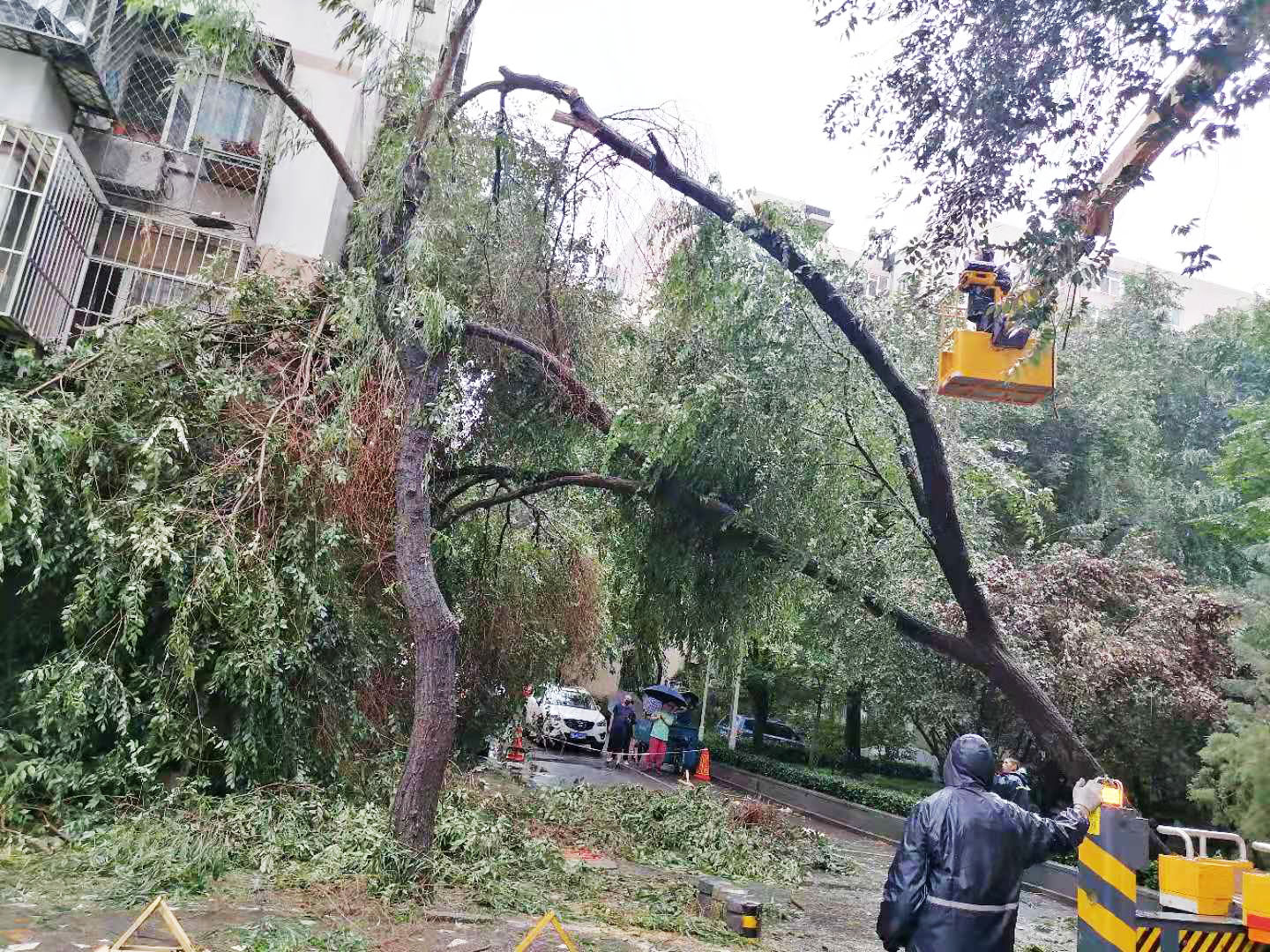 1626236241106040407.jpg 1626236241106040407.jpg