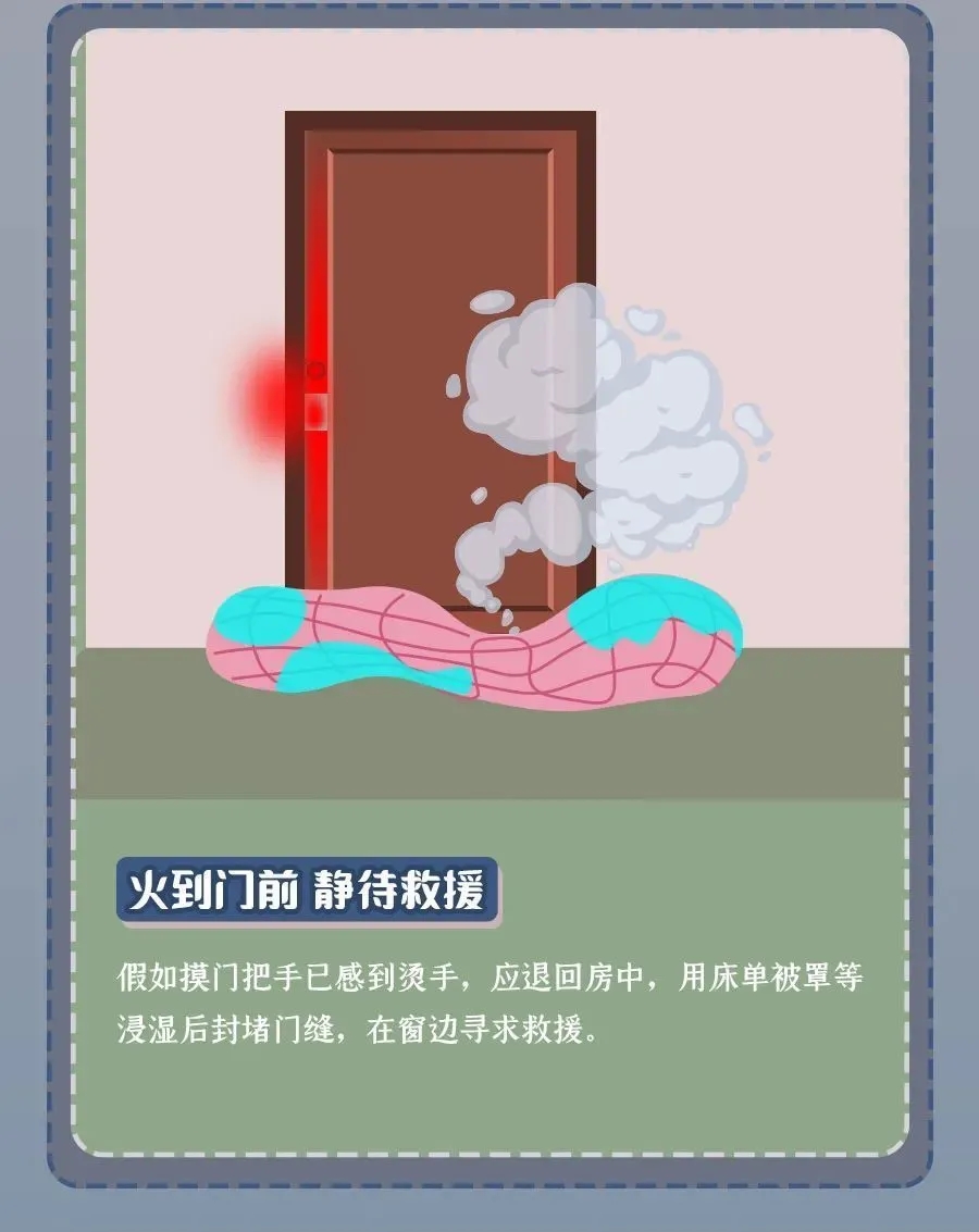 206.webp.jpg