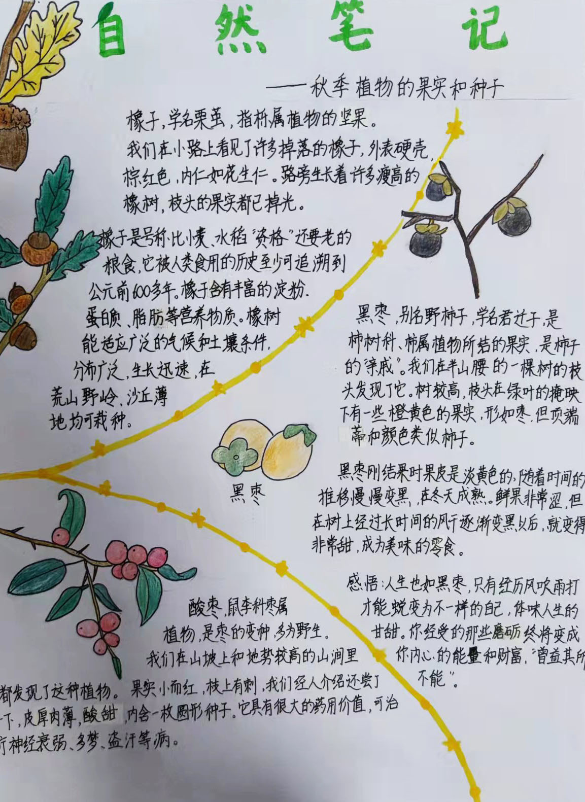 1637199617872070172.jpg