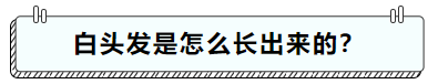 4003.png