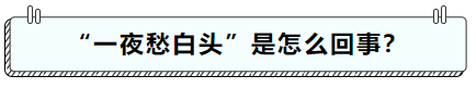 4007.png