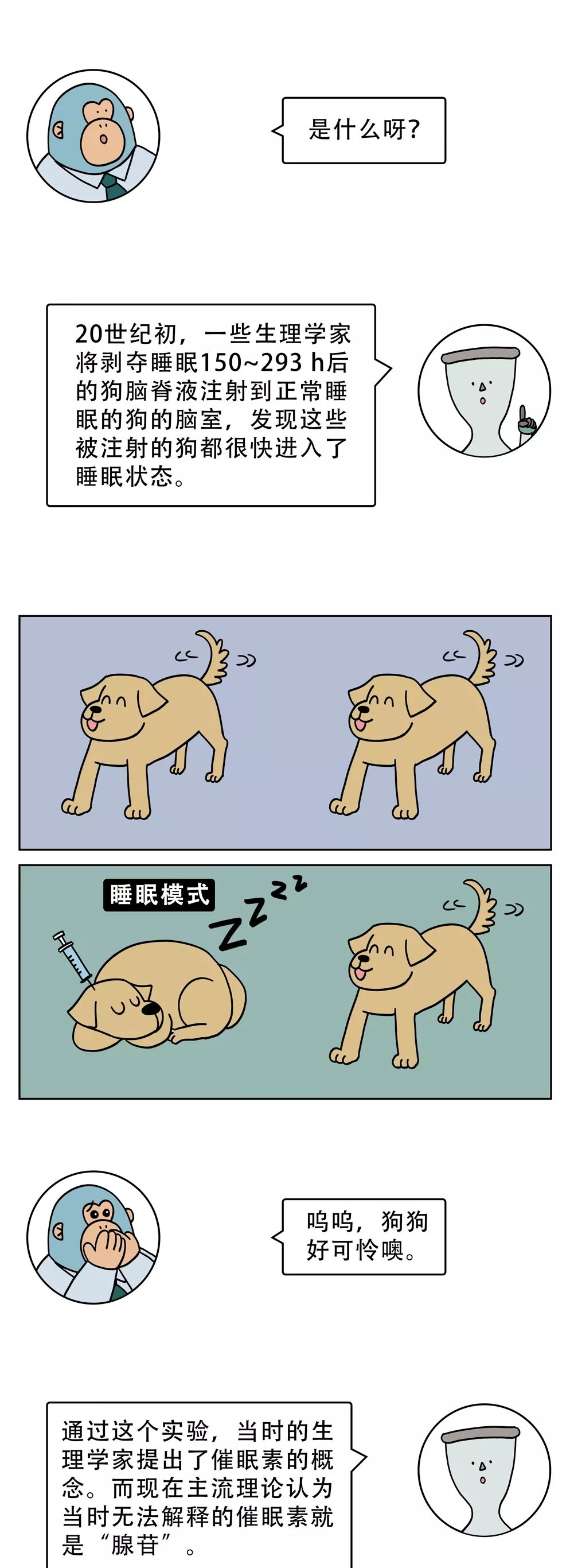 2005.webp.jpg