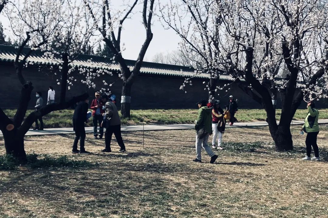 微信图片_20220413103621.jpg