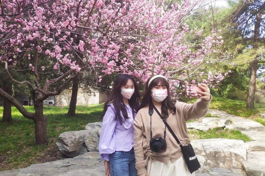 微信图片_20220413103743.jpg
