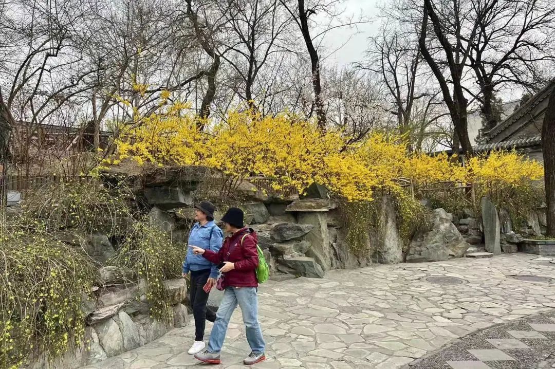微信图片_20220413103747.jpg