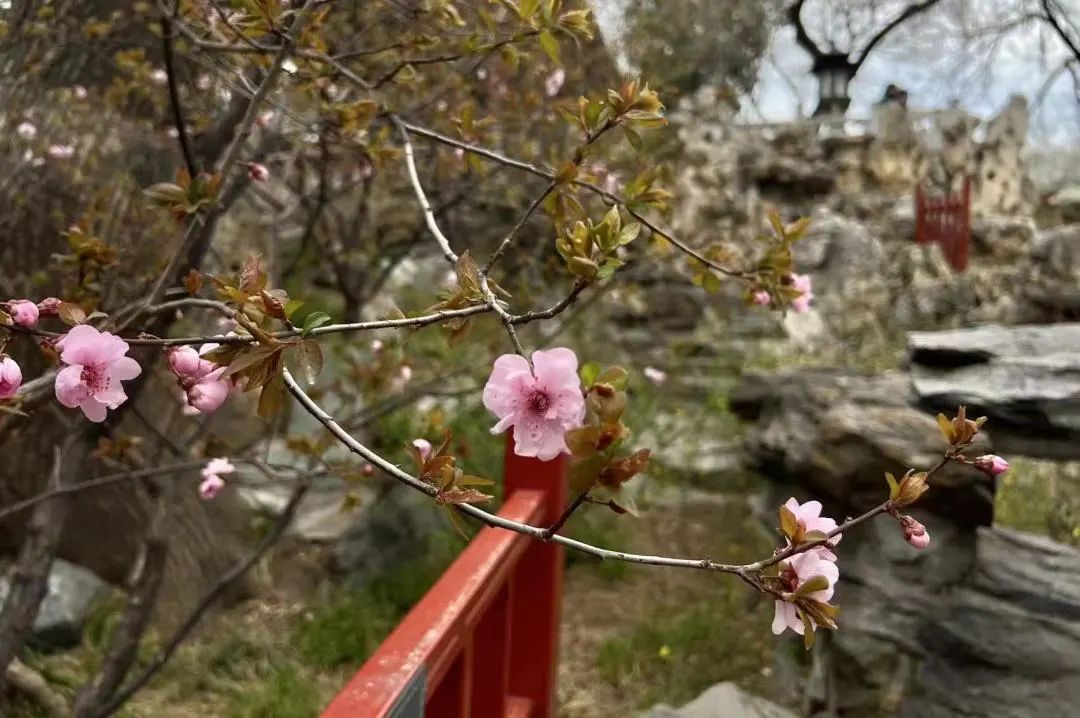 微信图片_20220413103751.jpg