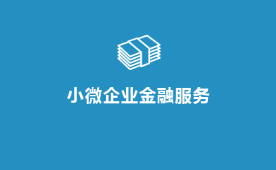 小微企业金融服务
