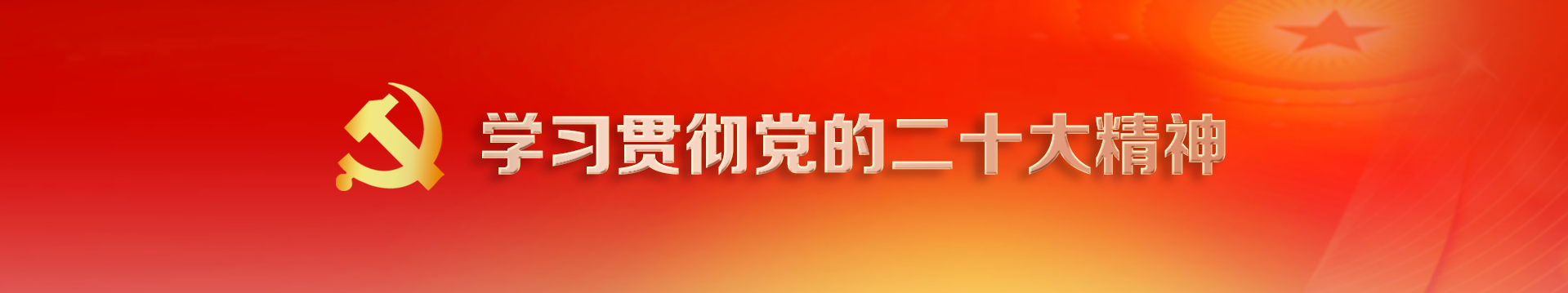 学习贯彻党的二十大精神