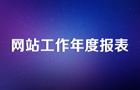 网站工作年度报表