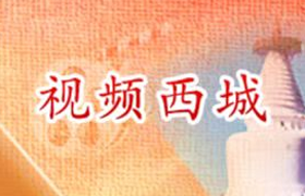 视频西城