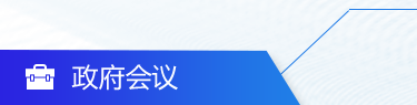 政府会议