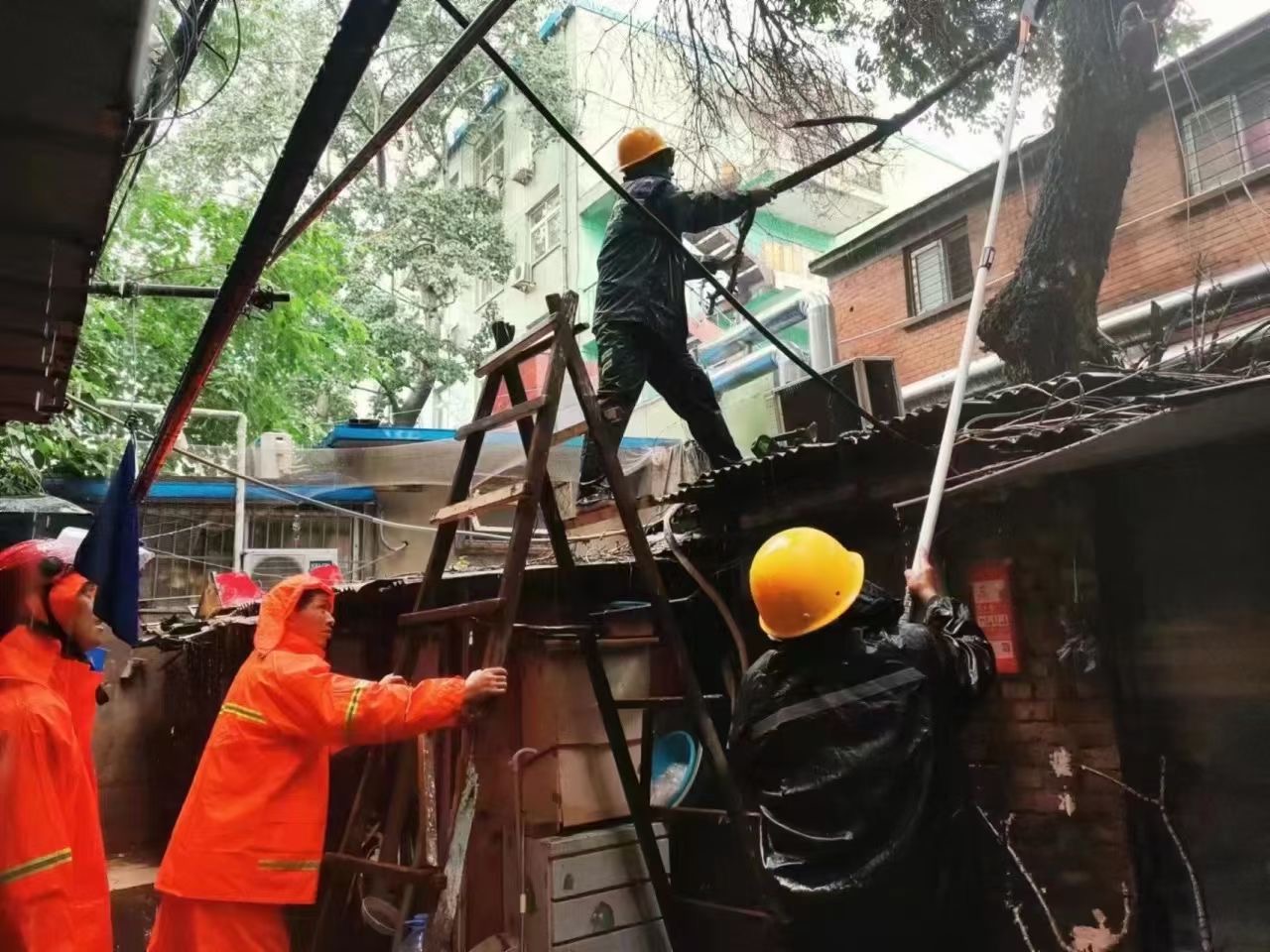 1690763476100026814.jpg