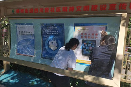 椿树街道五经普宣传-社区3.jpg