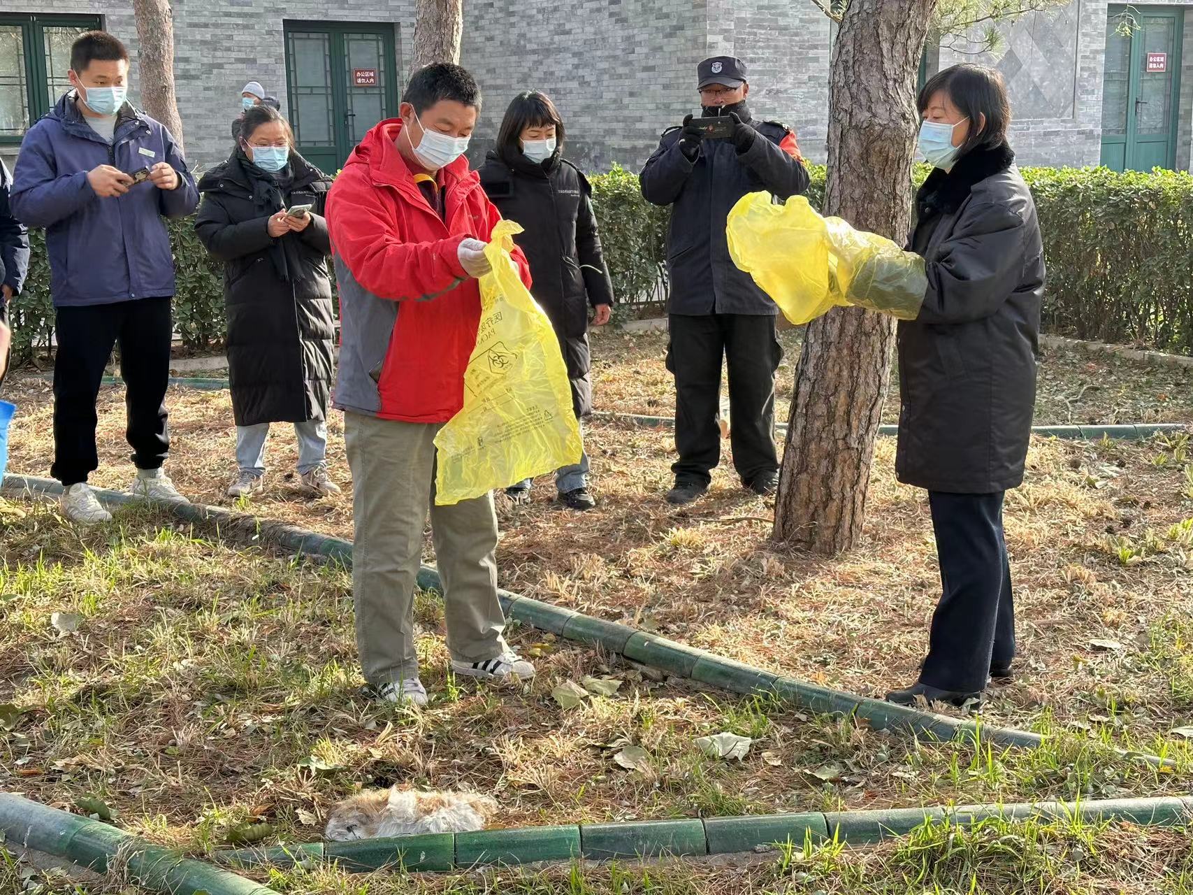 加强公园指导 规范处置动物尸体 (3).jpg