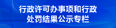 行政许可办事项和行政处罚结果公式专栏
