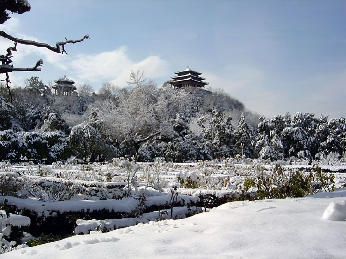 景山松雪.png