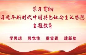 习近平新时代中国特色社会主义思想主题教育
