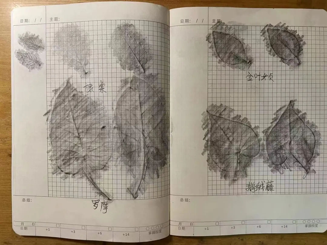 1725000999092055773.jpg