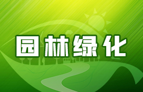 园林绿化