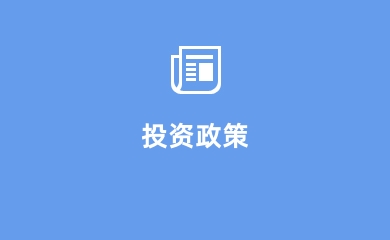 投资政策