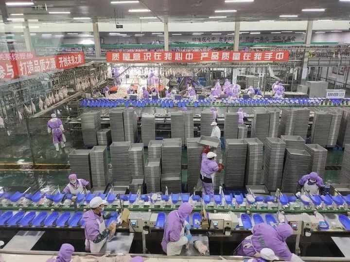 微信图片_20250403142659.jpg