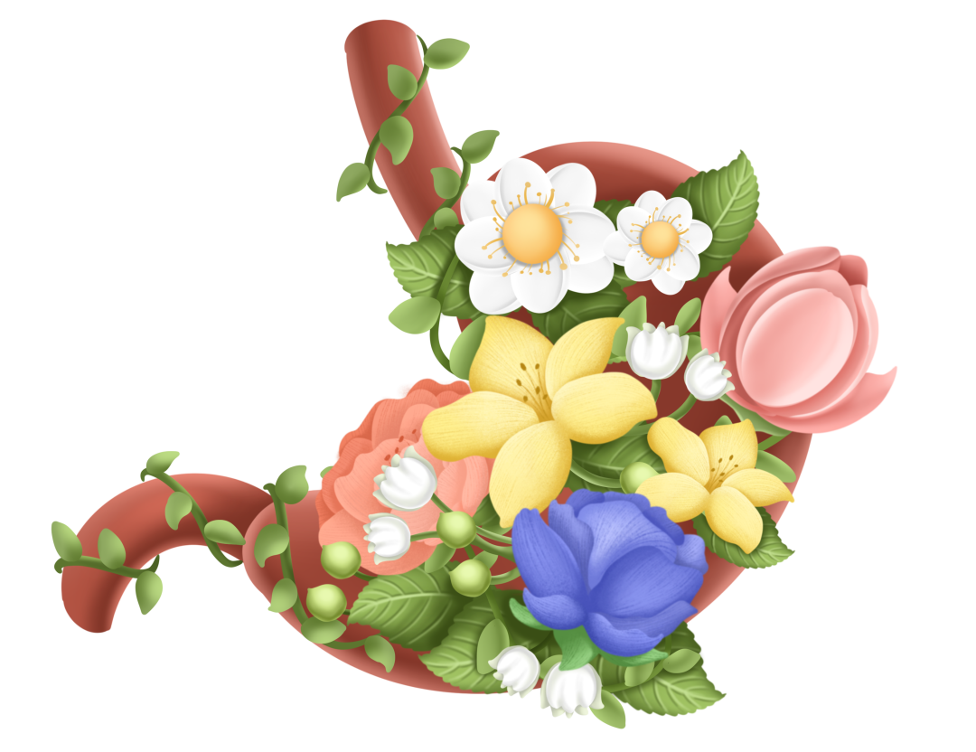 b242dda23b8ed18362301c1f43bf9851.png