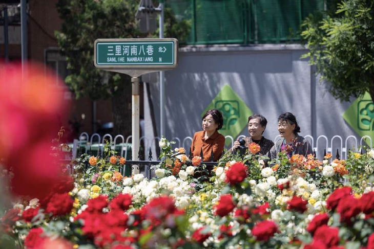 夏日繁花 “绣”美西城