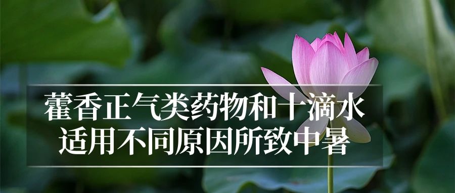 a704eccaa94455d90b6abb0232fc6ba5.jpg