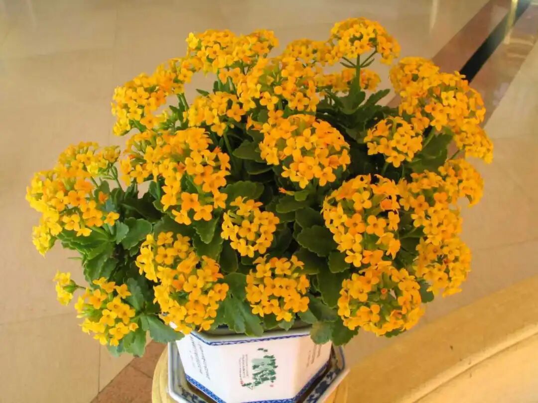 1762219559350053977.jpg 1762219559350053977.jpg