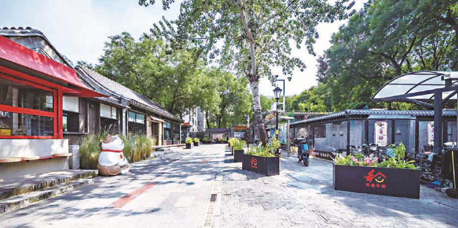 1762237366996047953.jpg 20251104_007_1924.jpg