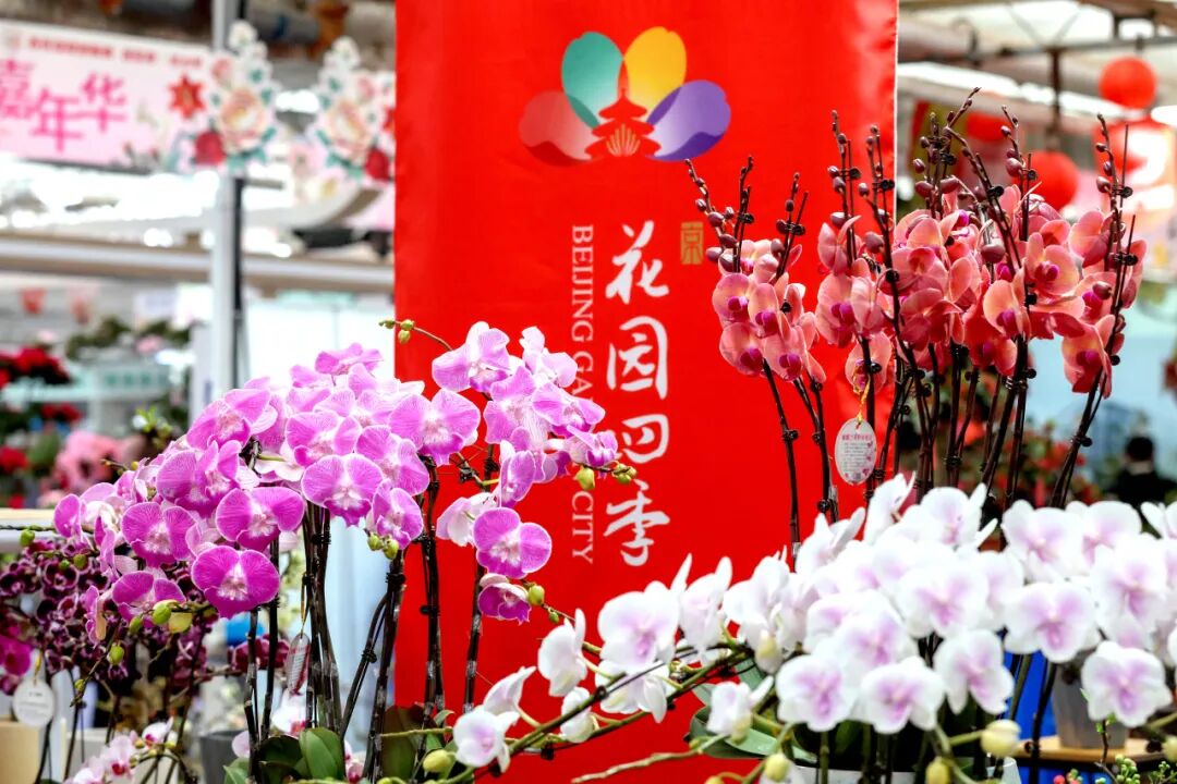 1770107574781003154.jpg 1770107574781003154.jpg