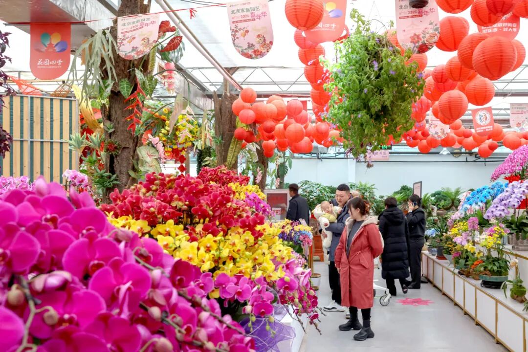 1770107595816075612.jpg 1770107595816075612.jpg