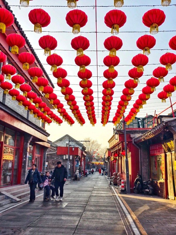 1770380426300039976.jpg 1.jpg