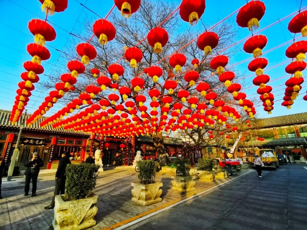 1770380437145030806.jpg 2.jpg