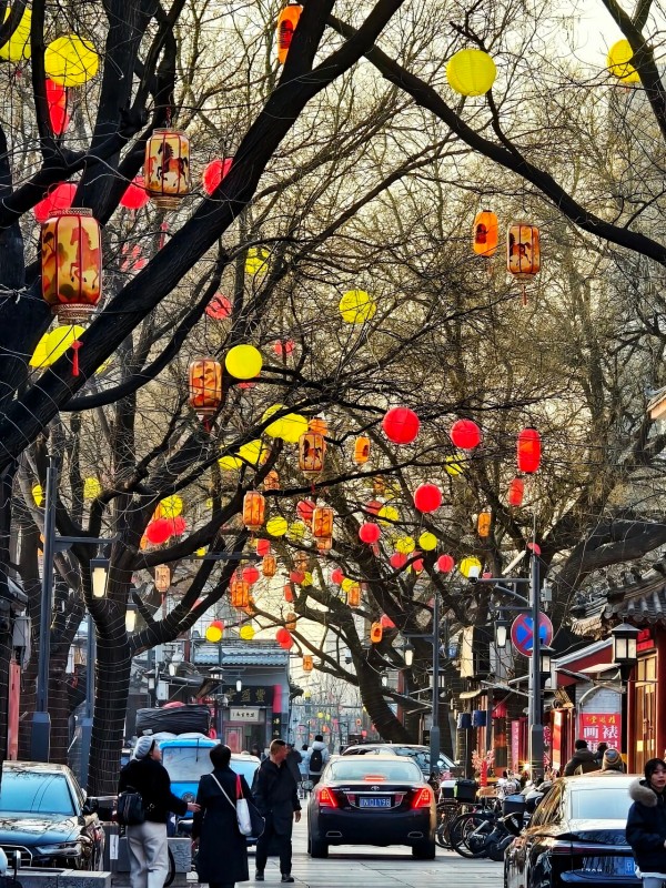 1770380455009027468.jpg 5.jpg